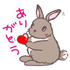 Brown&White Usagi-san