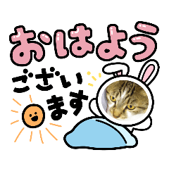 kaito_20220131180955