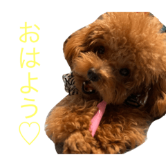 risa_20220131231812