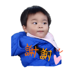 臉臉貼圖:1-2Y