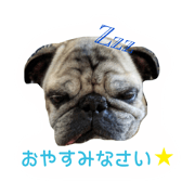 !!!mon!!!