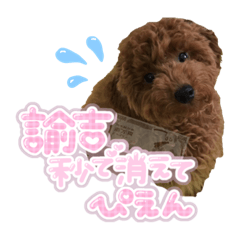 rina_20220201130910