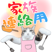 Cute and lovely cat Sticker4