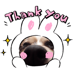 moocha_20220201142030