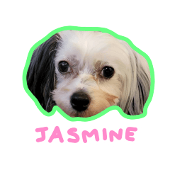 Jasmine Baby 1