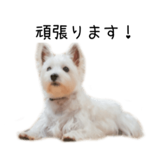 daihuku sticker2