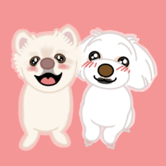 Sticker of soy and Rai