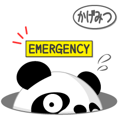 Mr. Panda for KAGEMITSU only [ver.2]