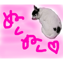 yun_20220201161457