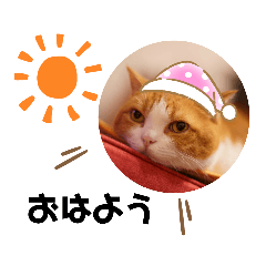 Momoko_20220201163709