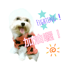 瑪爾濟斯狗寶-乖遊遊篇