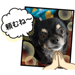 miki_20220201183636
