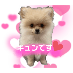 Aoi_20220202010241