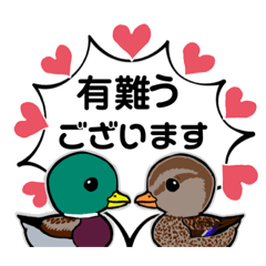 mallard duck-Greeting stickers