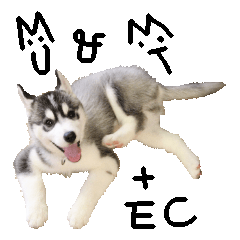 MU&MT+EC