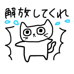 yun_20220202000917