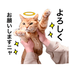Rukitty_20220202140005