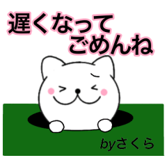 Name cat Sakura