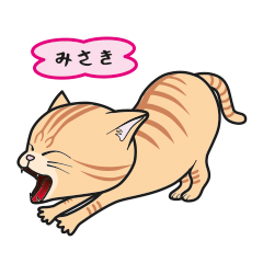 [Only for Misaki](orange tabby)