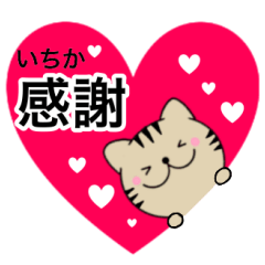 Name cat Itika