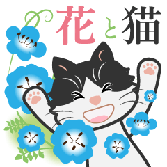 猫と花いっぱいの春