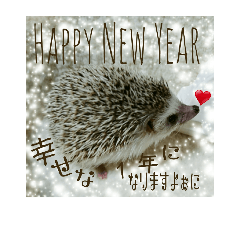 Hedgehog Rin Happy New Year