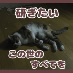 まだらのねこ