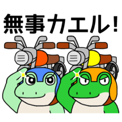 Shigure-kun frog motorcycle