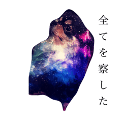 maromayu stump 2