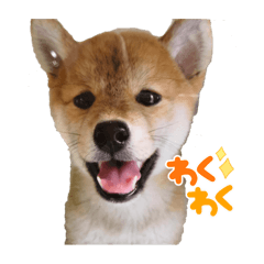 Kaori_20220202193808