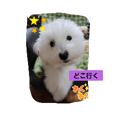 miki.sora