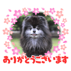 YUKA_20220202230234
