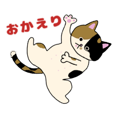 ミケ  ハチワレ チワプー
