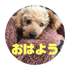 yuka_20220203053244