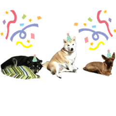 Shiho_20220202151653