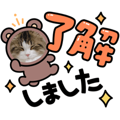 ai_20220202170231