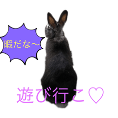 yun_20220202170131