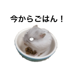 saori_20220202183055