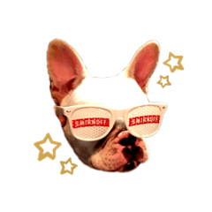 Hiyori_20220203081856