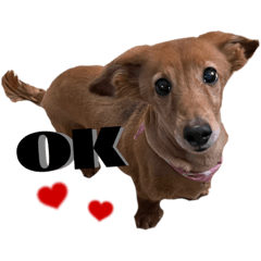 yamada_20220203011445