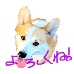 JACK_20220202191241