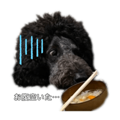 HIMAWARI_20220202220921