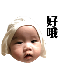 小高菲