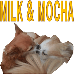 milk and mocha 3
