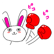 USAGI BOXER