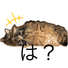 kanaaa_20220203130033