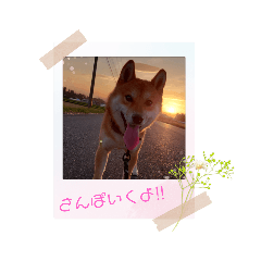 hatimitu_20220202193729