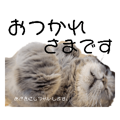 ymn_20220203144401