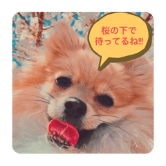 Canny_20220202195510