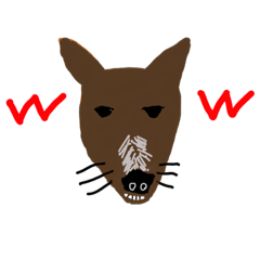 c_20220202205645